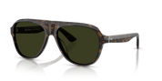 Oliver Peoples Paul Newman