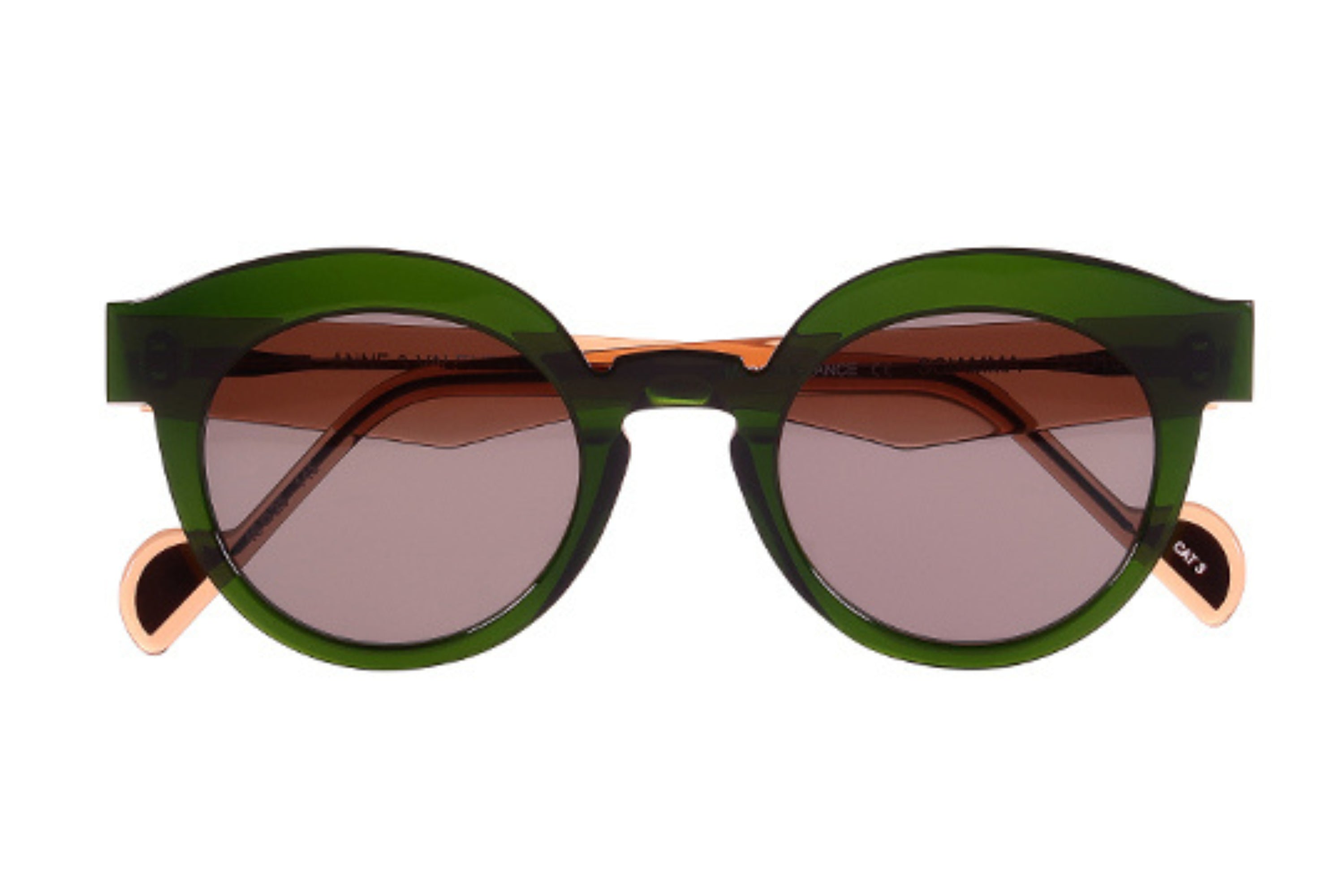 Anne et Valentin Sciamma