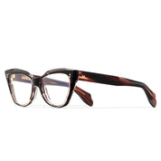 CG9288 glasses side 