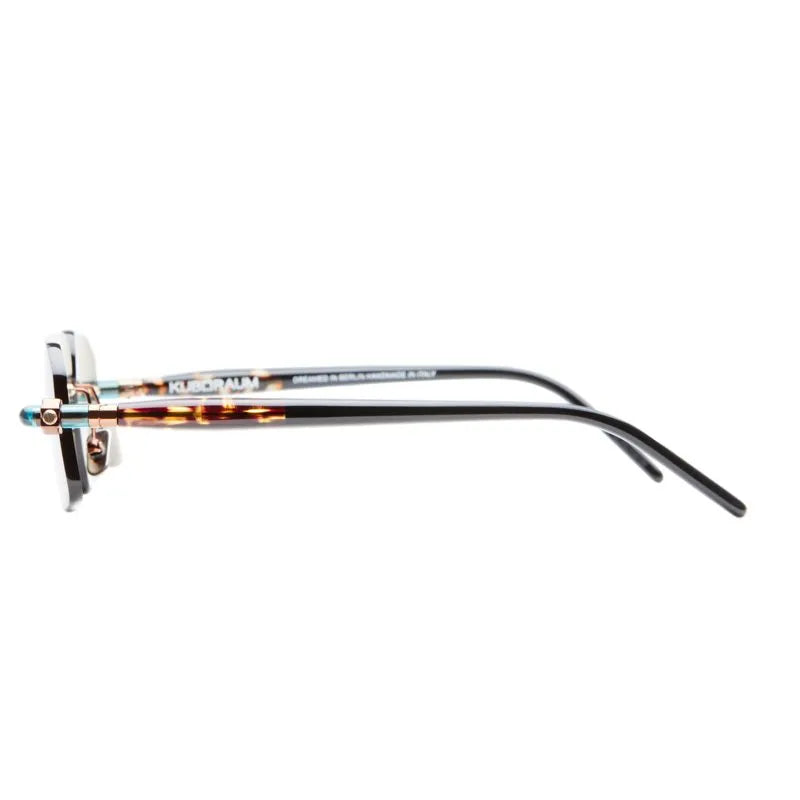 Side view of frames with blue, tort and black temples