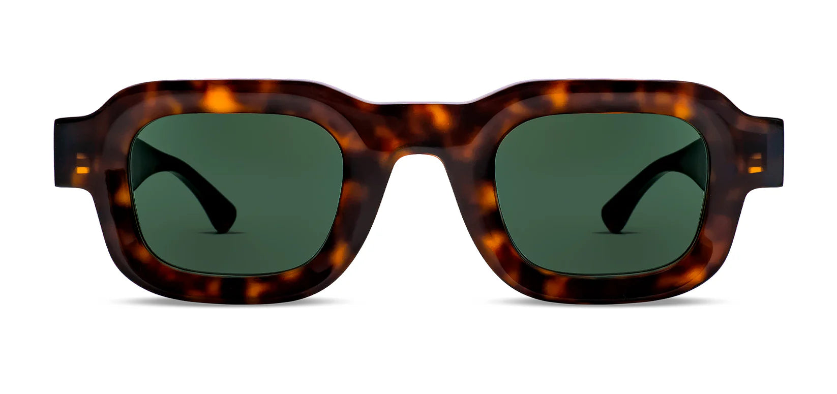 THIERRY_LASRY_Scratchy_Tortoise.webp