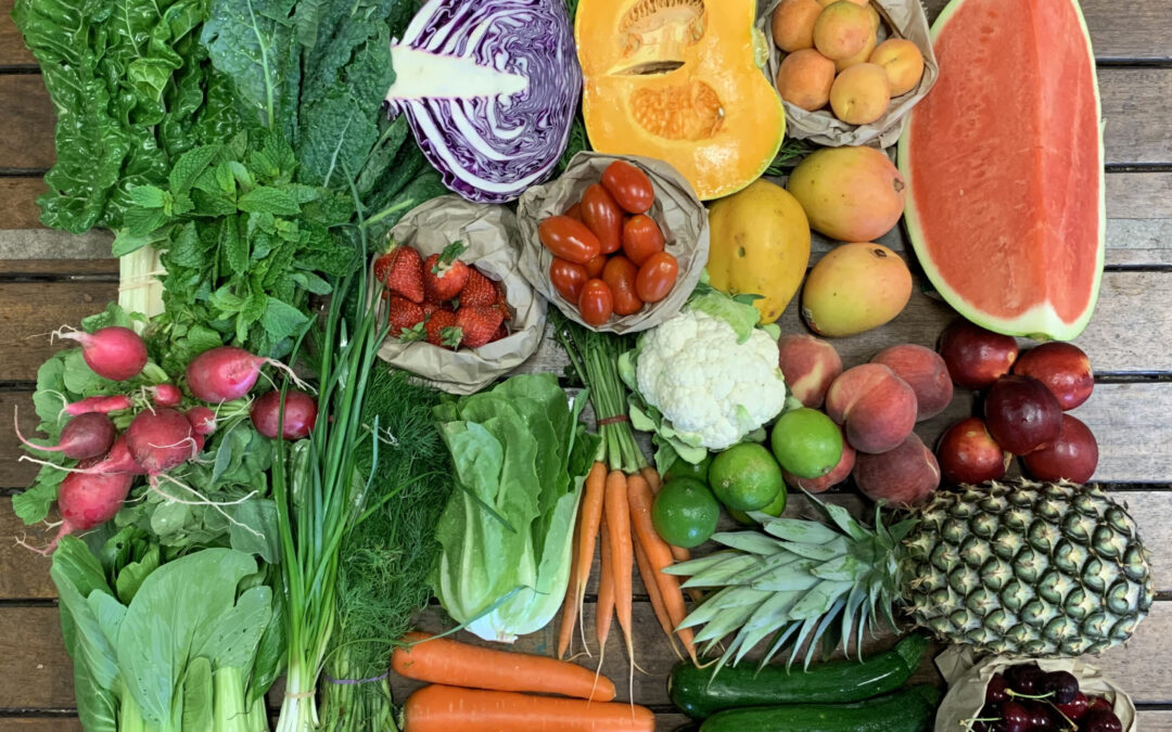 Foods for eye health