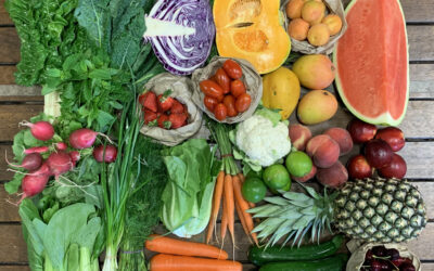 Foods for eye health